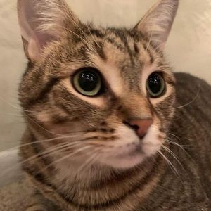 Meet your Posher, Tj